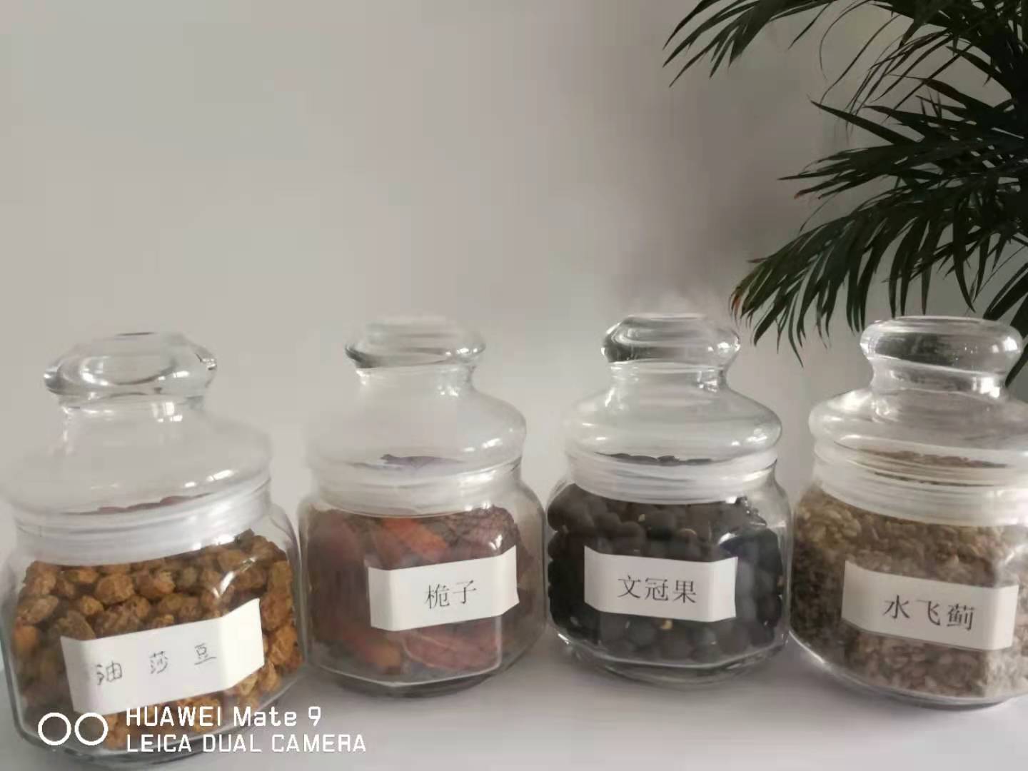 河北牡丹籽油原油