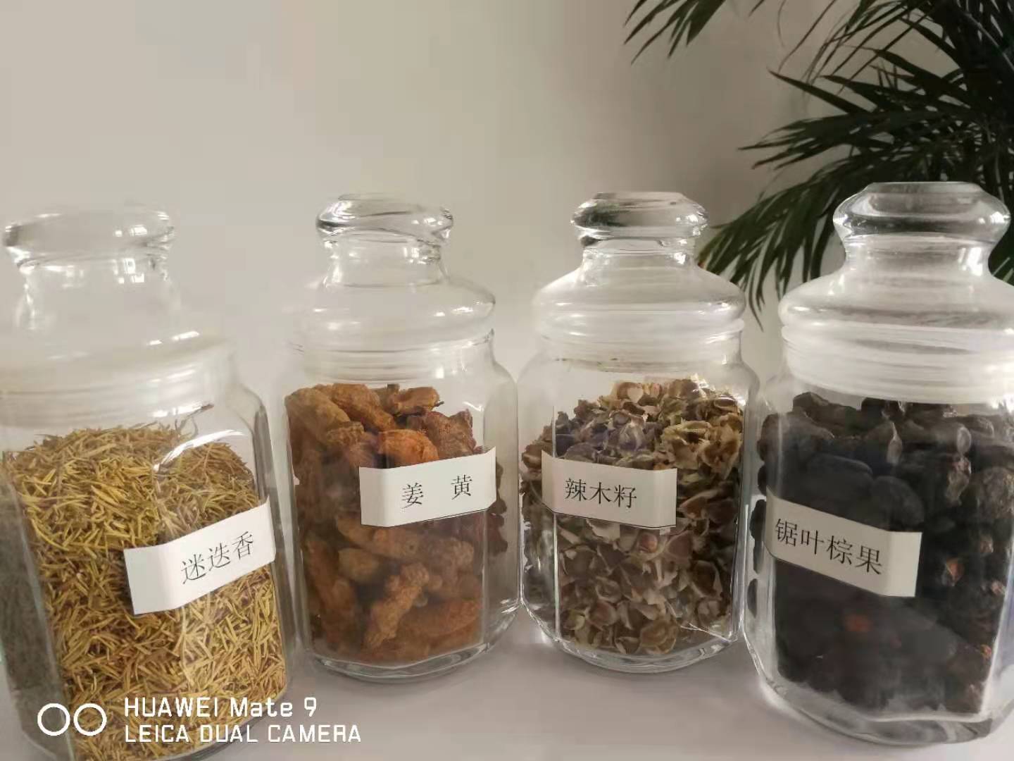 河北山茶籽油散油