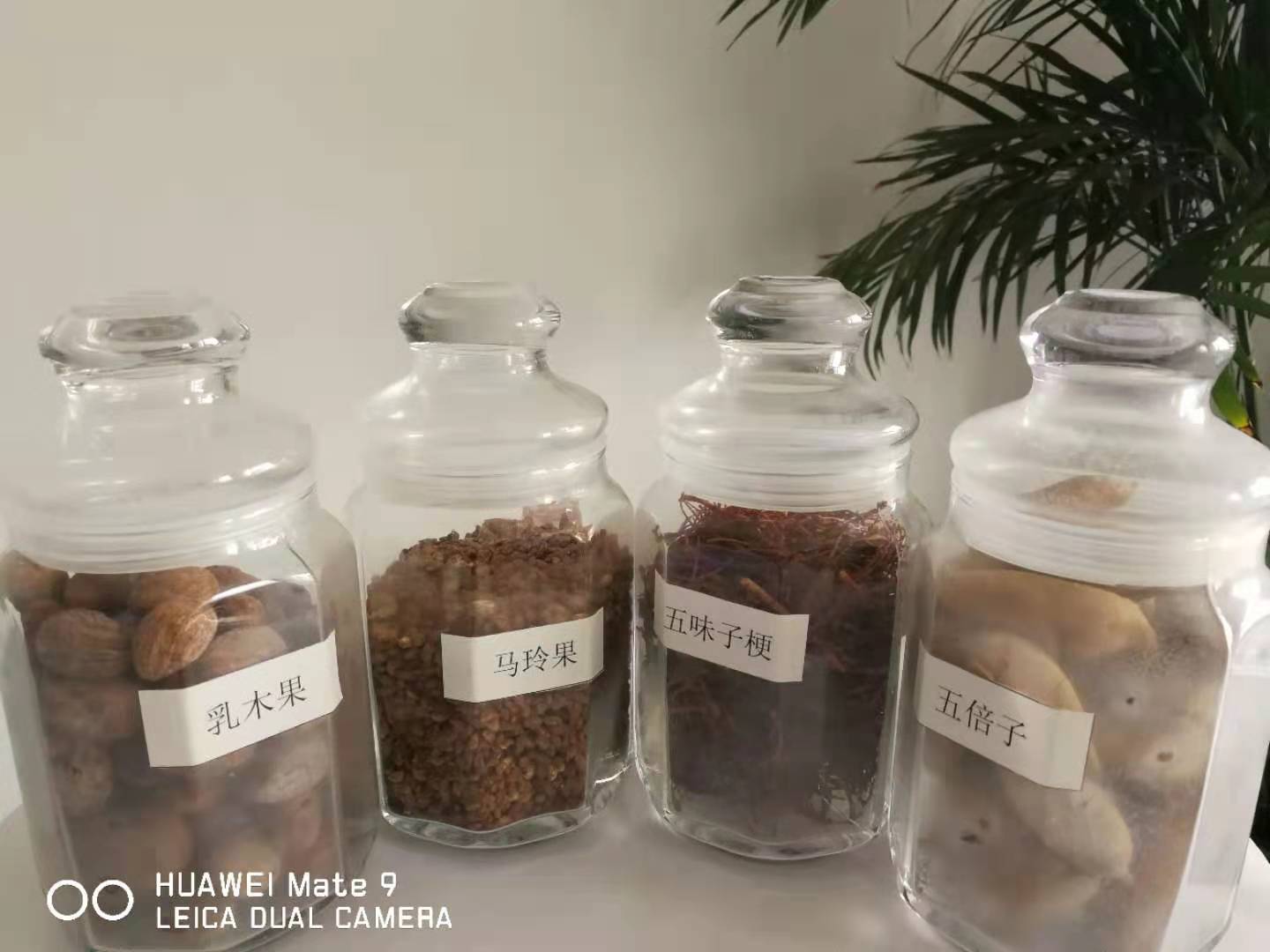 河北有机油茶籽油原油